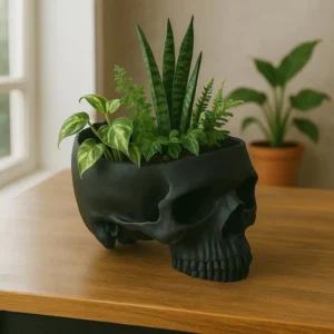 Vaso decorativo Caveira 3D